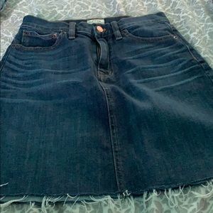 J crew skirt